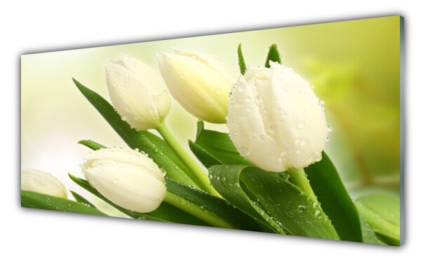 Nástenný panel  Tulipány kvety rastlina 125x50 cm