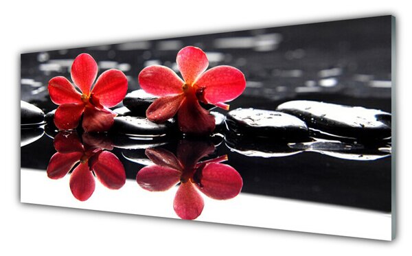 Nástenný panel  Kvet kamene rastlina 125x50 cm