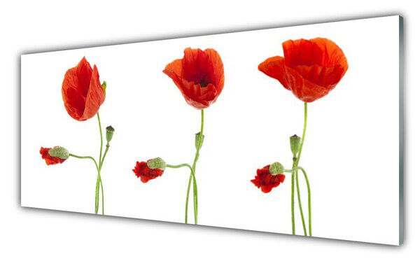 Nástenný panel  Maky rastlina príroda 125x50 cm