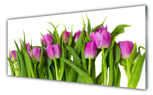 Nástenný panel  Tulipány kvety rastlina 125x50 cm