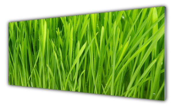 Nástenný panel  Tráva rastlina príroda 125x50 cm