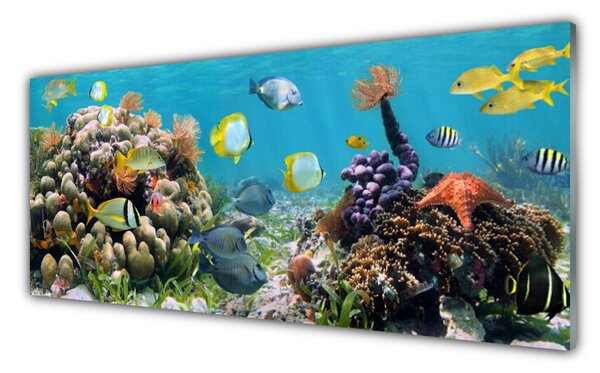 Nástenný panel  Koralový útes príroda 125x50 cm