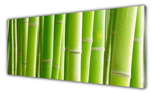 Nástenný panel  Bambus stonka kvet rastlina 125x50 cm