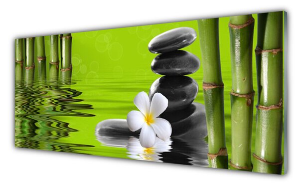 Nástenný panel  Bambus kamene rastlina 125x50 cm