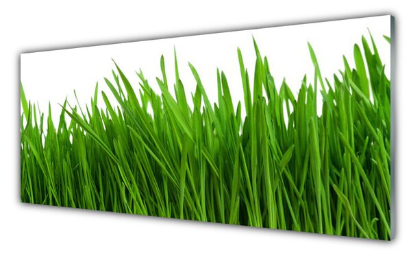 Nástenný panel  Tráva rastlina príroda 125x50 cm