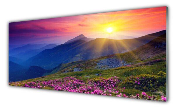 Nástenný panel  Hory kvet lúka krajina 125x50 cm
