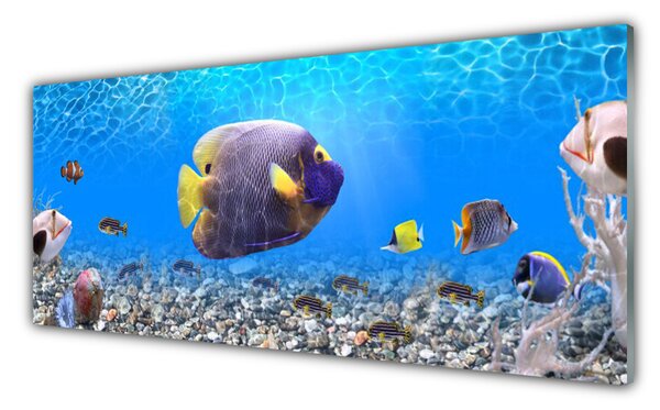 Nástenný panel  Ryba príroda 125x50 cm
