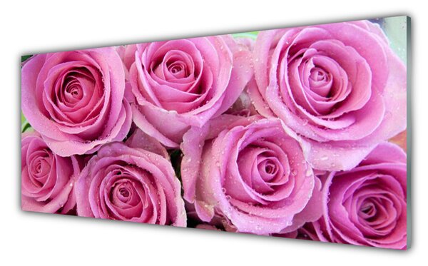 Nástenný panel  Ruže kvety rastlina 125x50 cm