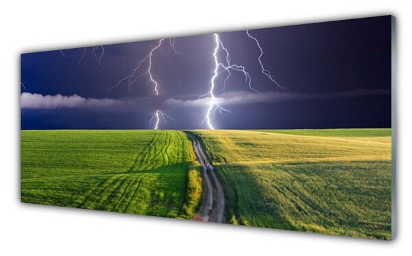 Nástenný panel  Pole blesk krajina 125x50 cm
