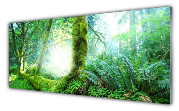 Nástenný panel  Les príroda 125x50 cm