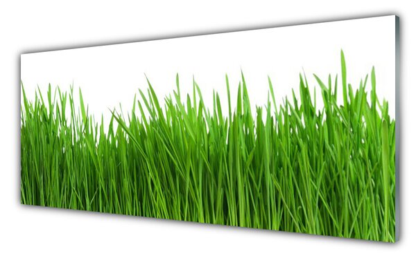 Nástenný panel  Tráva rastlina príroda 125x50 cm