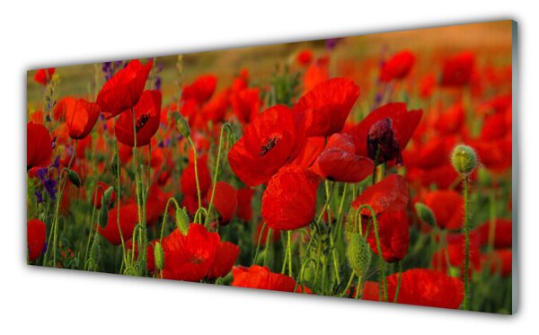 Nástenný panel  Maky rastlina príroda 125x50 cm
