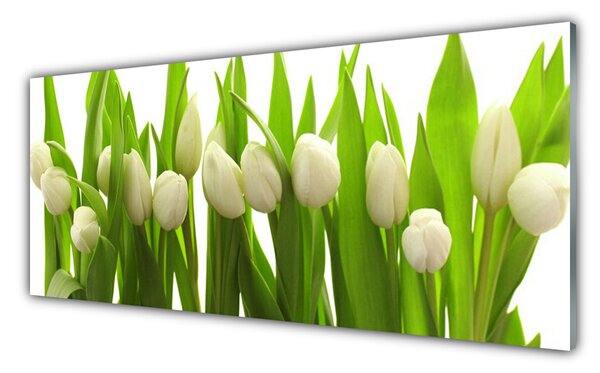 Nástenný panel  Tulipány kvety rastlina 125x50 cm