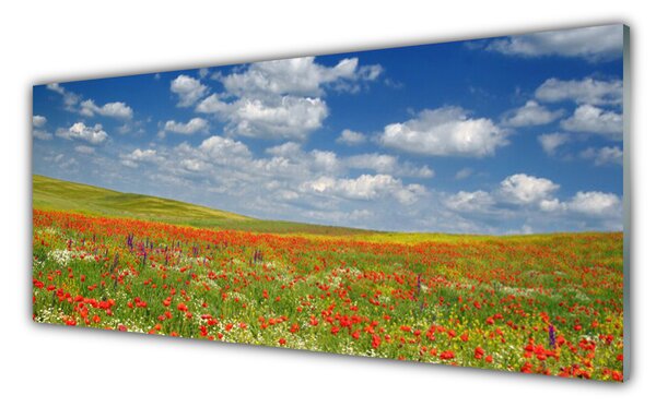 Nástenný panel  Lúka kvety príroda 125x50 cm