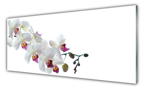 Nástenný panel  Kvety rastlina príroda 125x50 cm