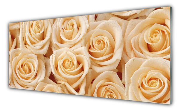 Nástenný panel  Ruže kvety rastlina 125x50 cm