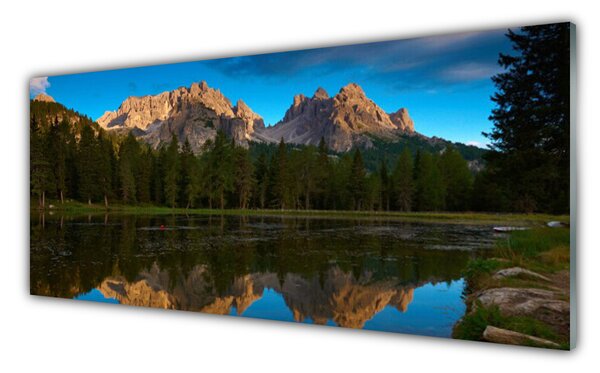 Nástenný panel  Les jazero príroda 125x50 cm