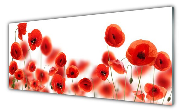 Nástenný panel  Maky rastlina príroda 125x50 cm