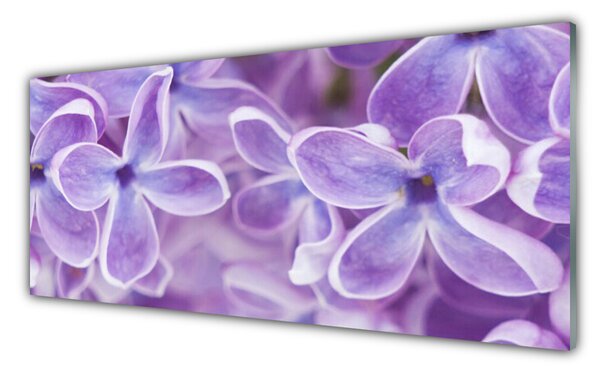 Nástenný panel  Kvety rastlina príroda 125x50 cm