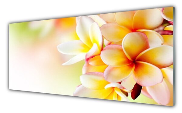 Nástenný panel  Kvety rastlina príroda 125x50 cm