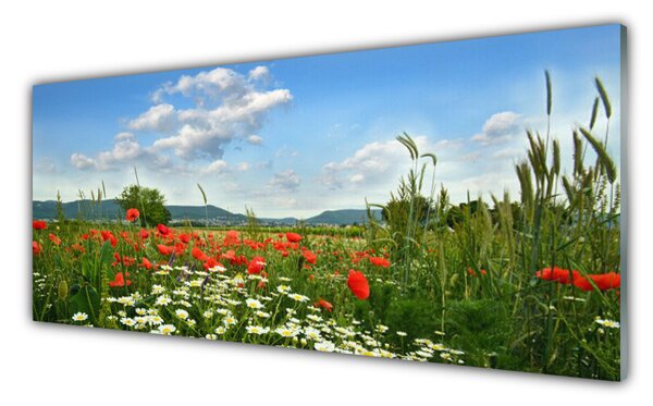 Sklenený obklad Do kuchyne Lúka kvety príroda 125x50 cm