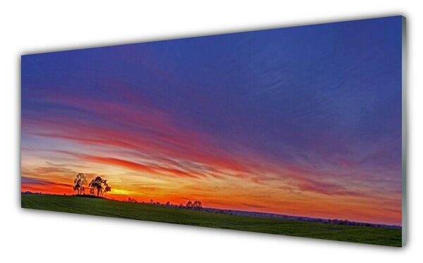 Nástenný panel  Príroda pole stromy príroda 125x50 cm