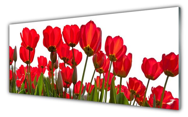 Nástenný panel  Kvety 125x50 cm