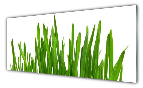 Nástenný panel  Tráva 125x50 cm