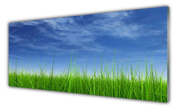Nástenný panel  Nebo tráva príroda 125x50 cm