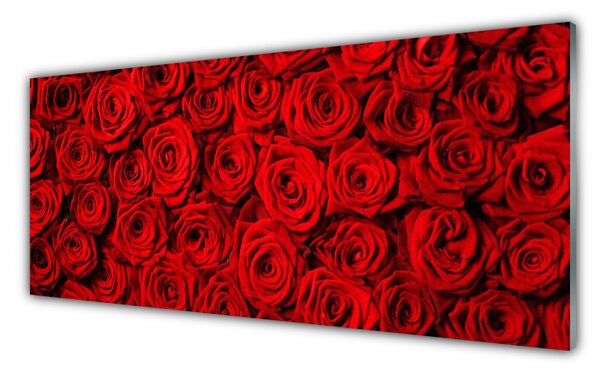 Nástenný panel  Ruže 125x50 cm