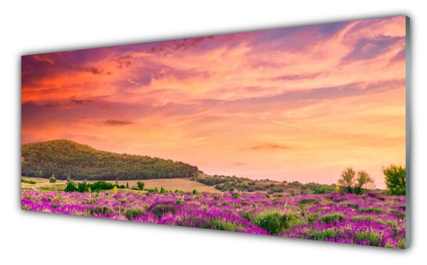 Nástenný panel  Lúka kvety príroda 125x50 cm