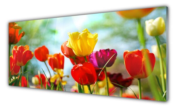 Nástenný panel  Kvet 125x50 cm