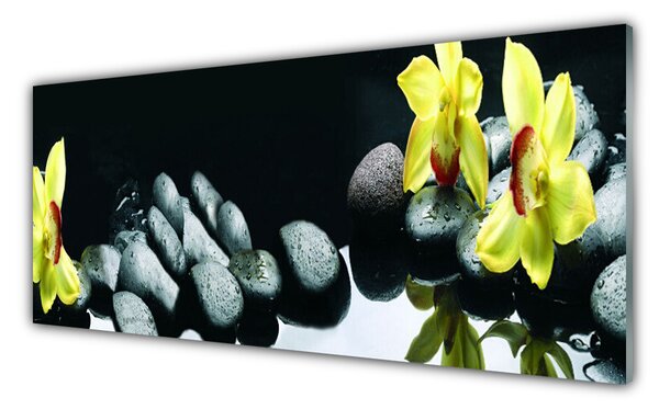 Nástenný panel  Kvet kamene 125x50 cm