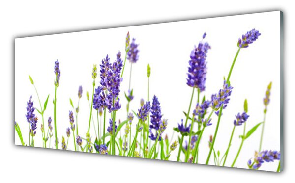 Nástenný panel  Kvety 125x50 cm