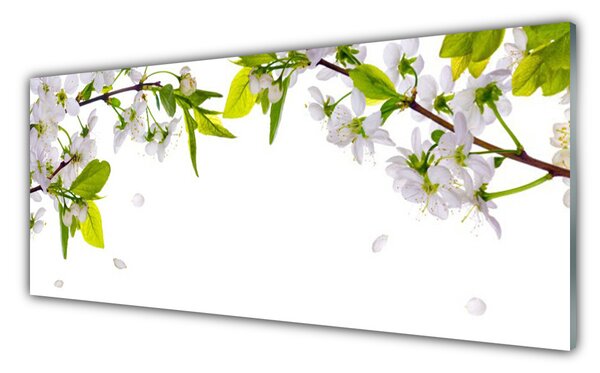 Nástenný panel  Plátky príroda 125x50 cm
