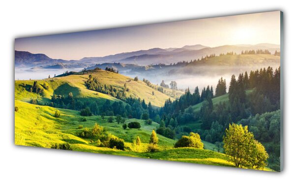 Nástenný panel  Hora pole hmla príroda 125x50 cm