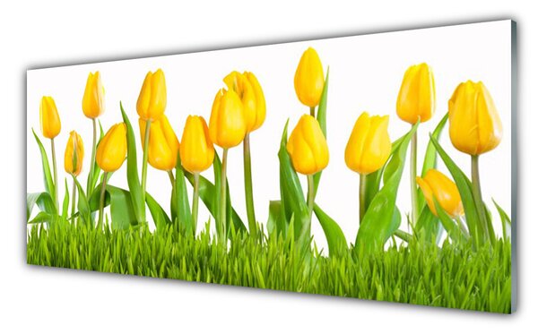 Nástenný panel  Tulipány 125x50 cm