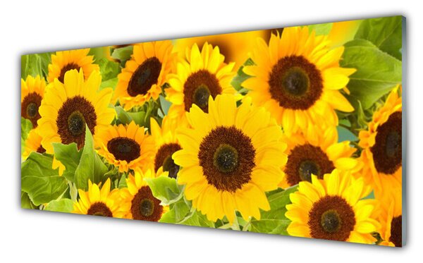 Nástenný panel  Slnečnica 125x50 cm