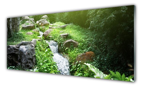 Nástenný panel  Potom trávy príroda 125x50 cm