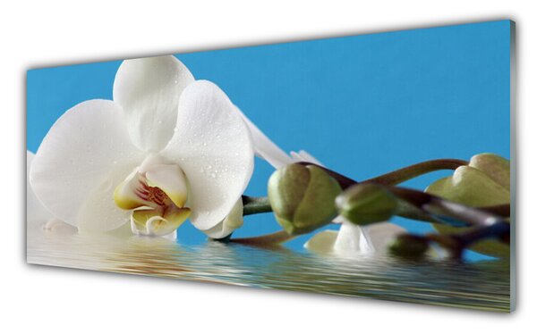 Nástenný panel  Kvet rastlina príroda 125x50 cm