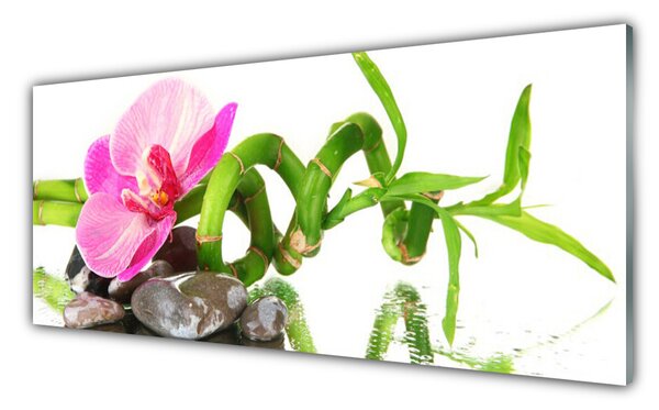 Nástenný panel  Kvet rastlina príroda 125x50 cm