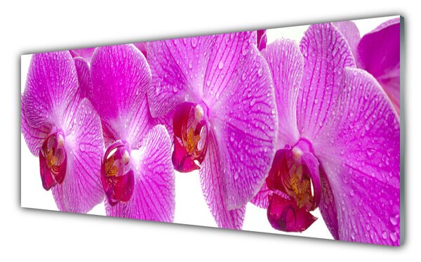 Nástenný panel  Kvety rastlina príroda 125x50 cm