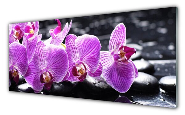 Nástenný panel  Kvet kamene 125x50 cm