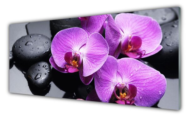 Nástenný panel  Kvet kamene 125x50 cm