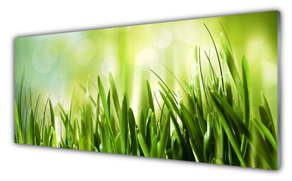 Nástenný panel  Tráva príroda 125x50 cm