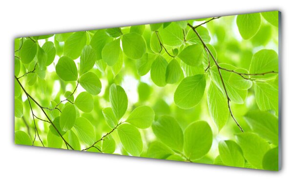 Nástenný panel  Listy príroda 125x50 cm