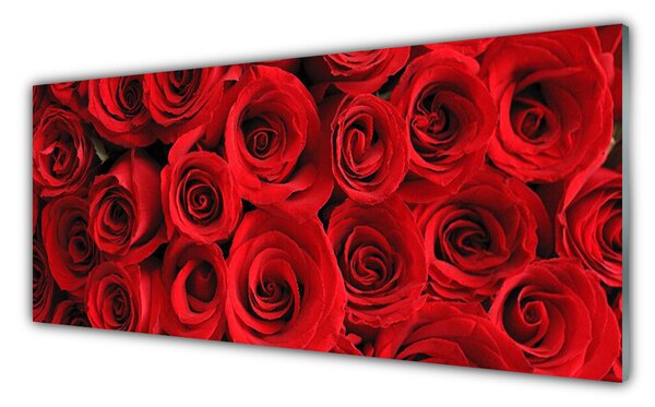 Nástenný panel  Ruže kvety 125x50 cm