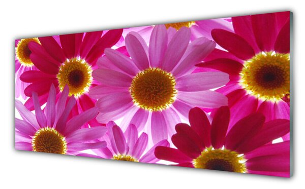 Nástenný panel  Kvety 125x50 cm