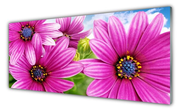 Nástenný panel  Kvety 125x50 cm