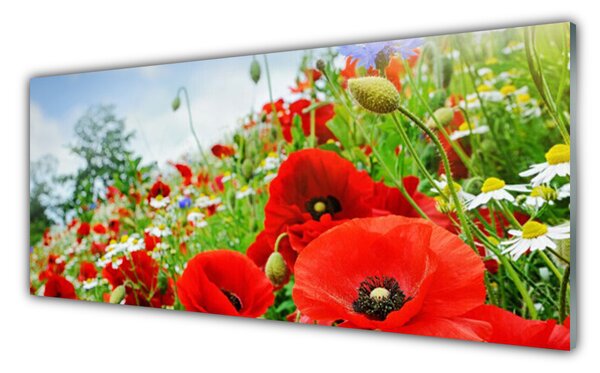 Nástenný panel  Kvety príroda 125x50 cm